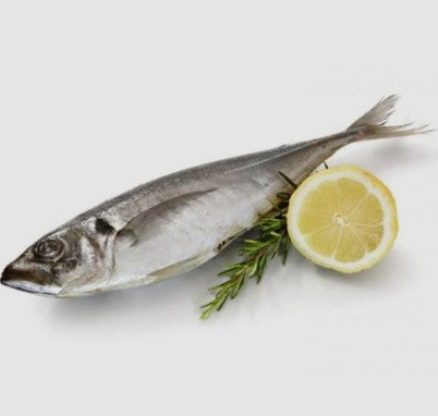 CHINCHARD SURGELÉ (CARAPAU GRANDE) - 40-50