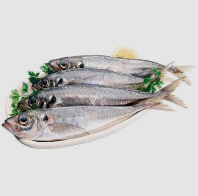 CHINCHARD SURGELÉ (CARAPAU PEQUENO) - 03-05