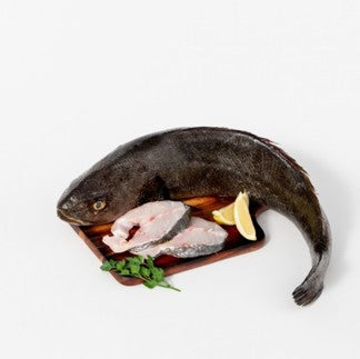 CORVINA