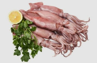 ENCORNETS SURGELÉS (LULAS LIMPAS)